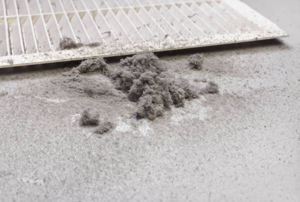 Best Professional Duct Cleaning Services  in Malvern, IA