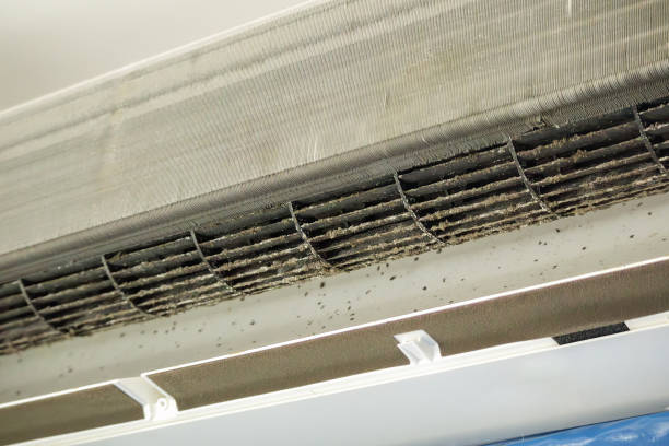 Best Home Air Vent Cleaning  in Malvern, IA